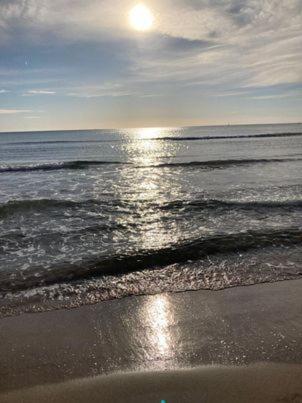 Entre El Mar Y La Colina *